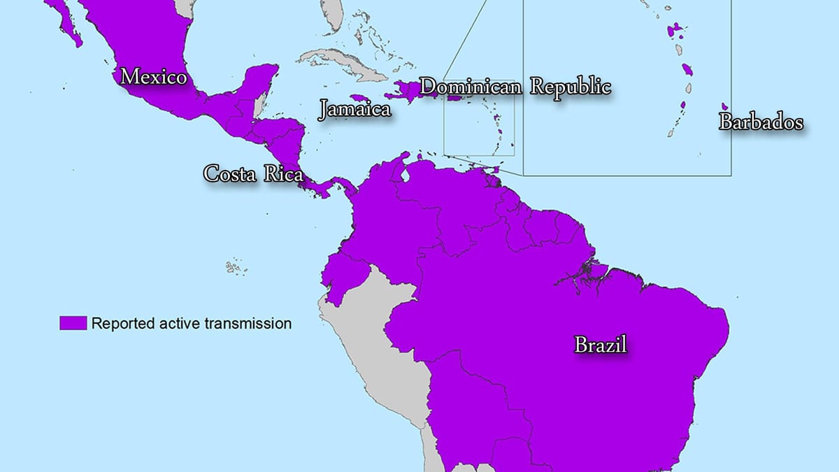 Harta e xhamajkës zika